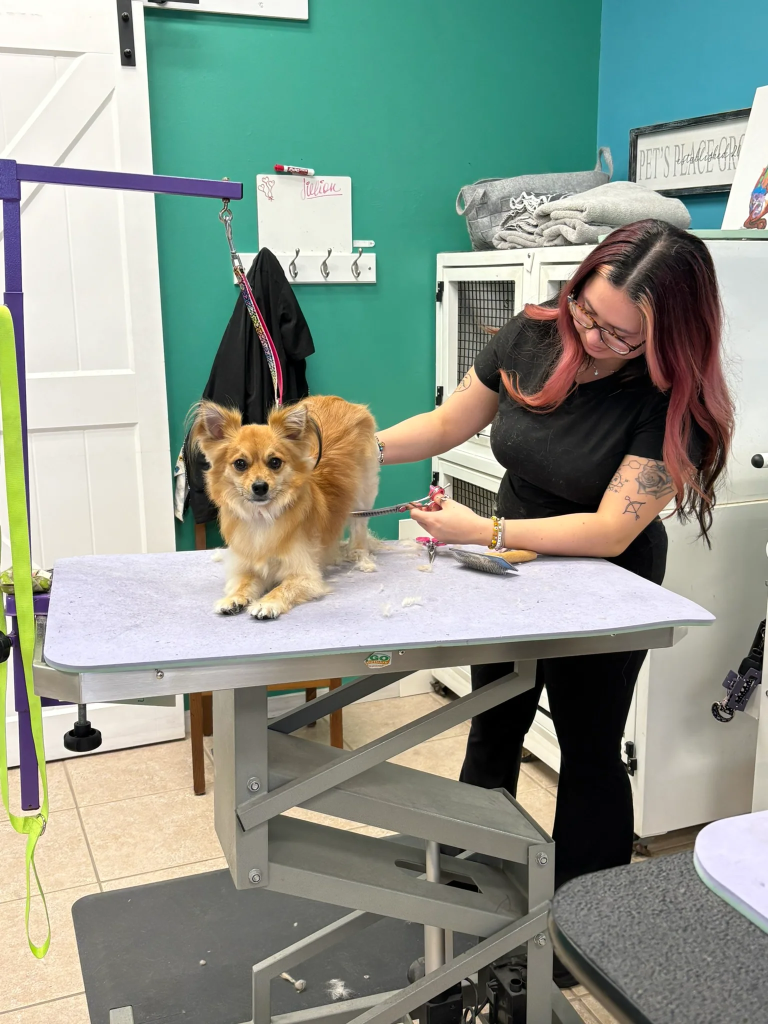 Our Services professional dog groomer trimming tan dog.jpg