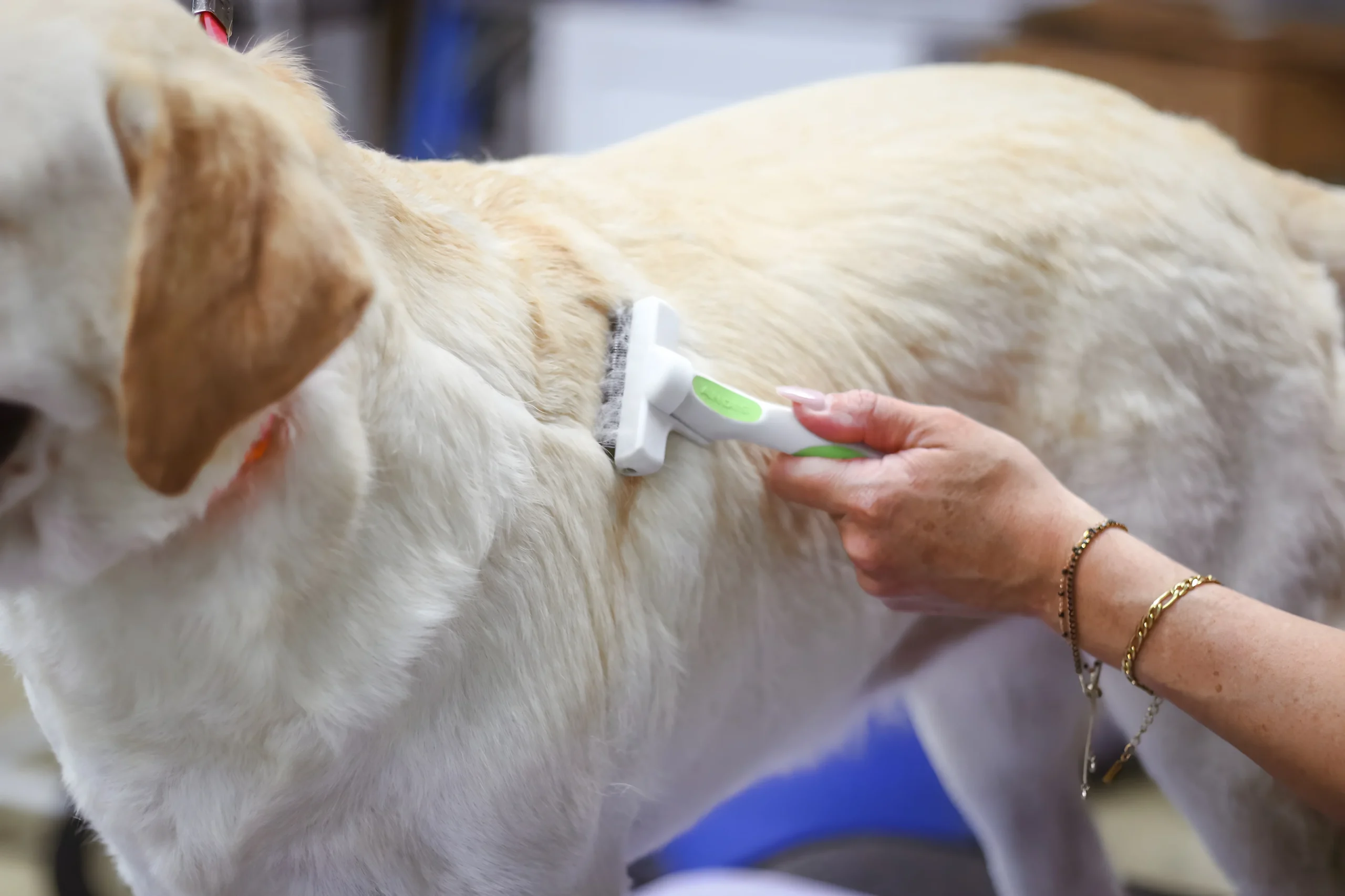 Home image by Pet's Place Grooming Dog grooming deshedding brush labrador