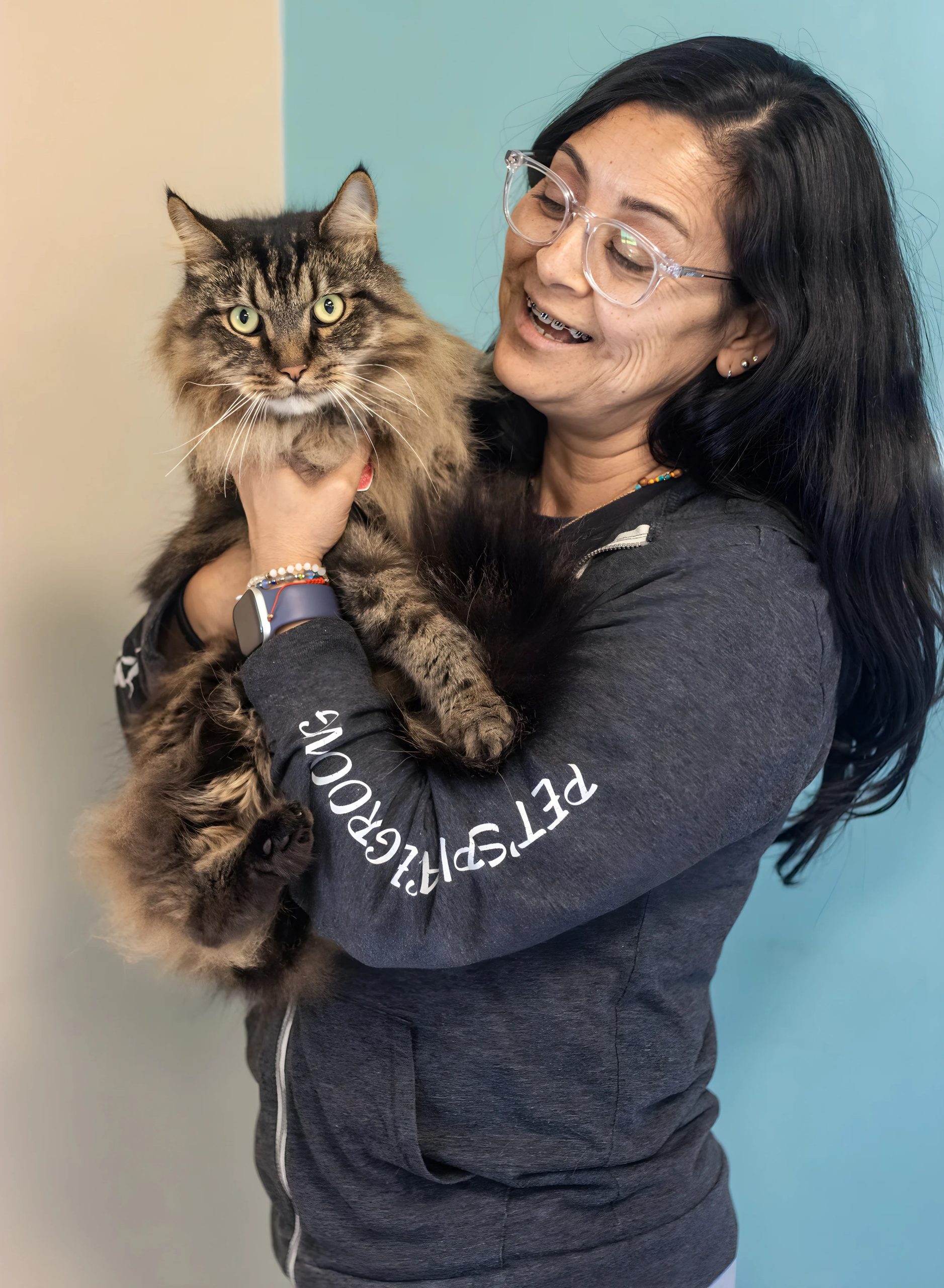 Pet groomer holding large fluffy cat