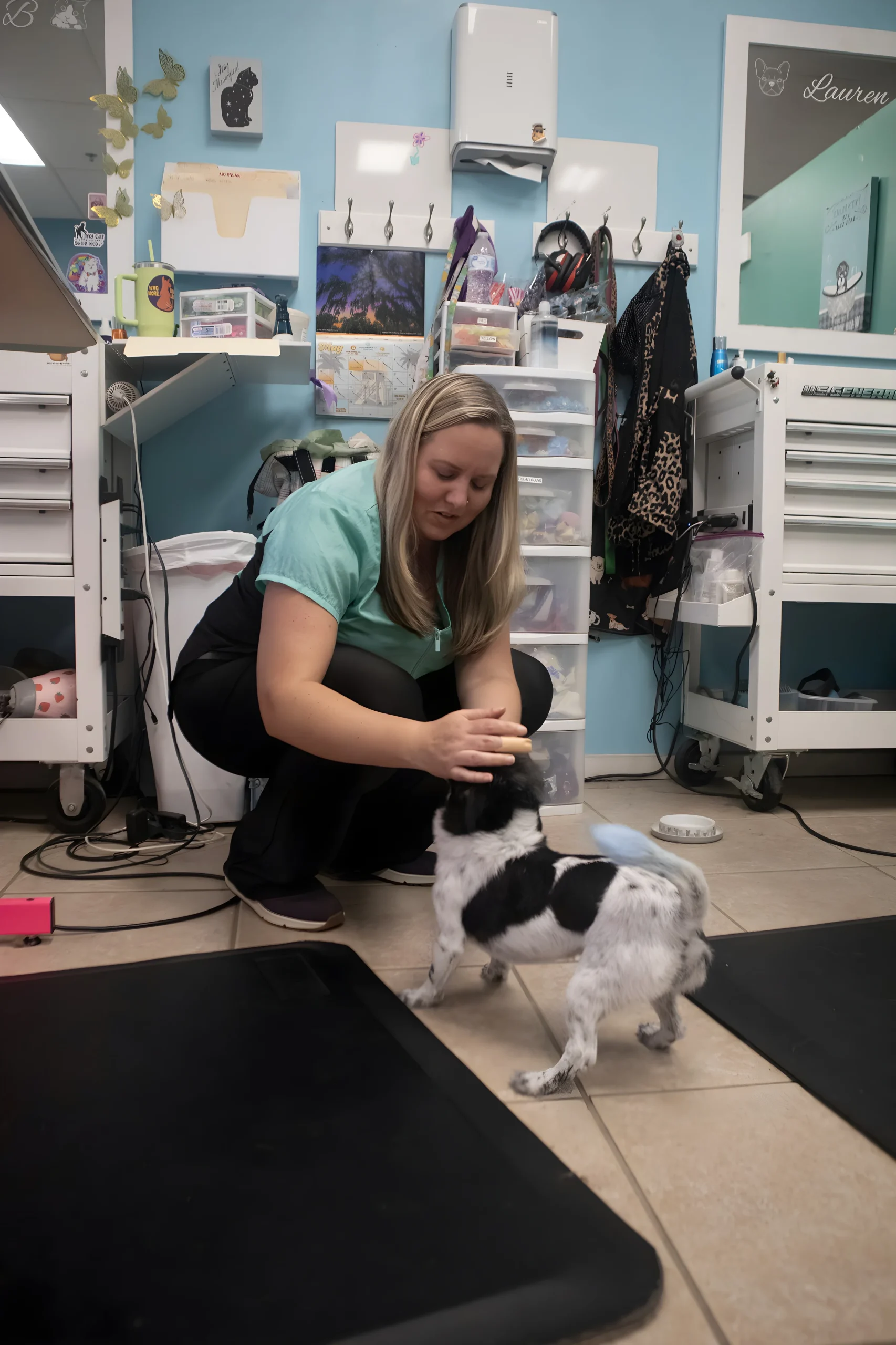 Pet groomer petting dog in salon
