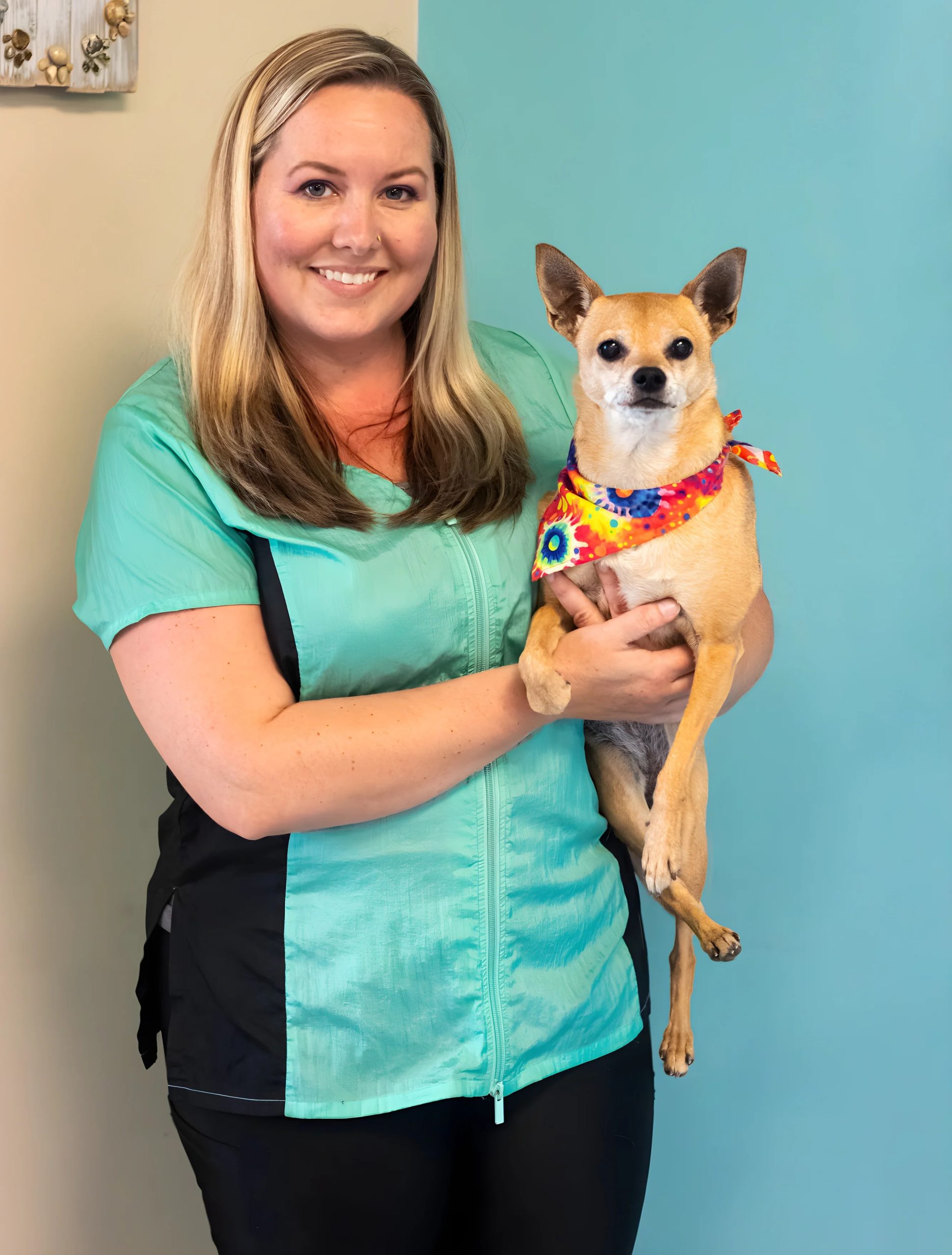 Professional pet groomer holding small dog
