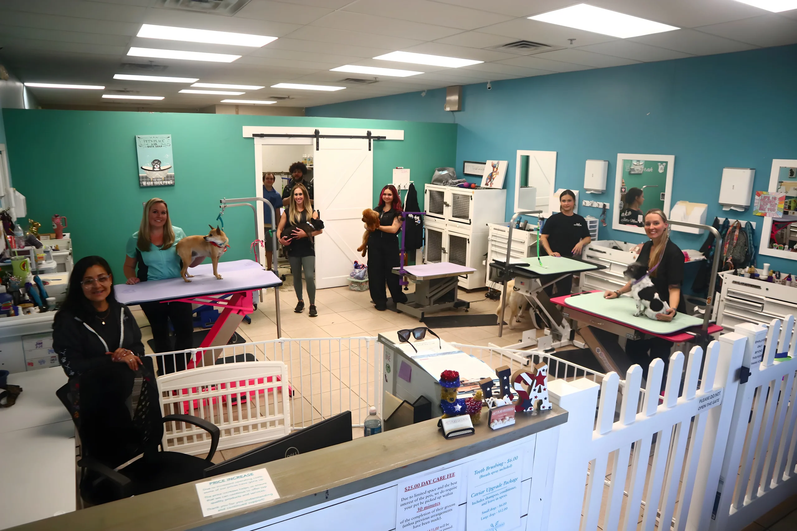 Pet's Place Grooming salon team with dogs