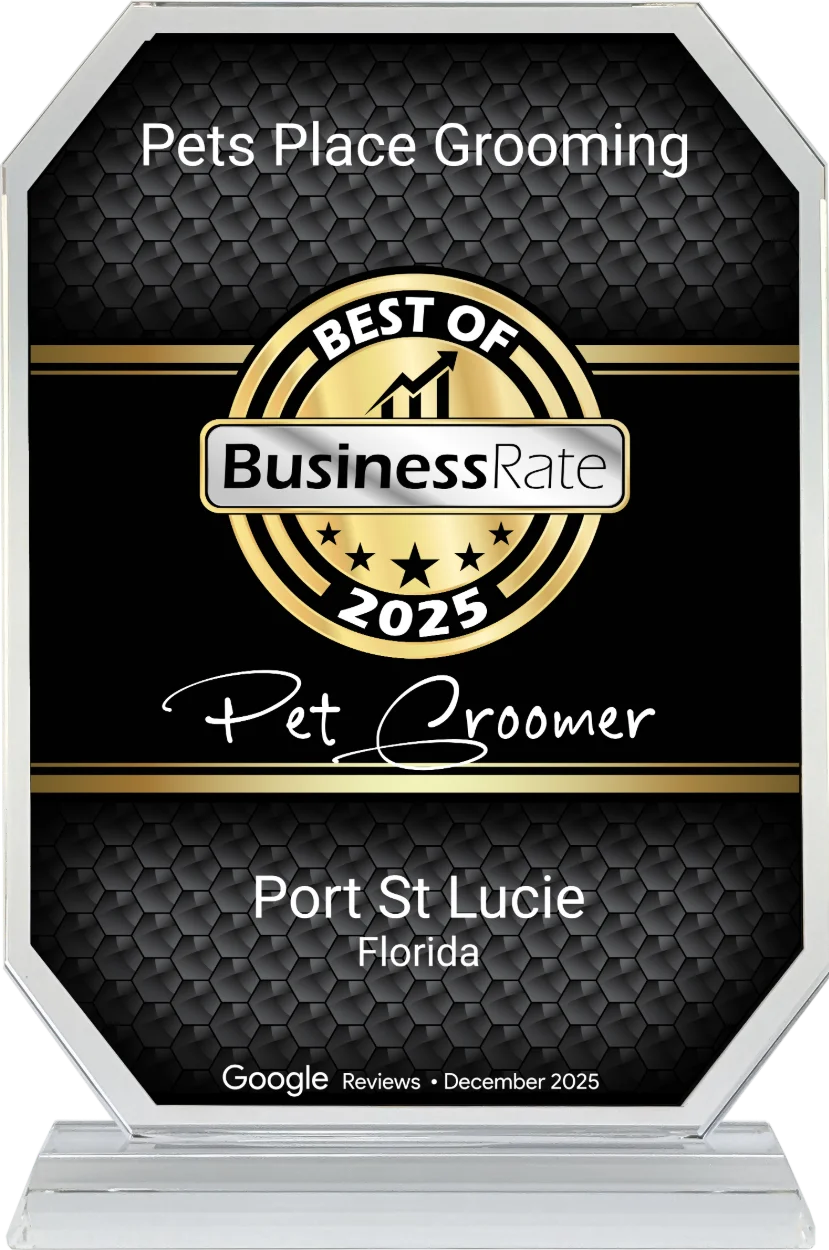 Home pets place grooming best pet groomer port st lucie florida 2025 award